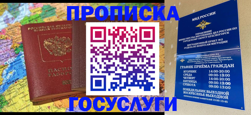 прописка иностранных граждан в Химках